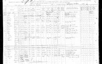 Not 100 Percent any one Race?