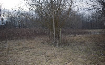 Building on a Shoestring